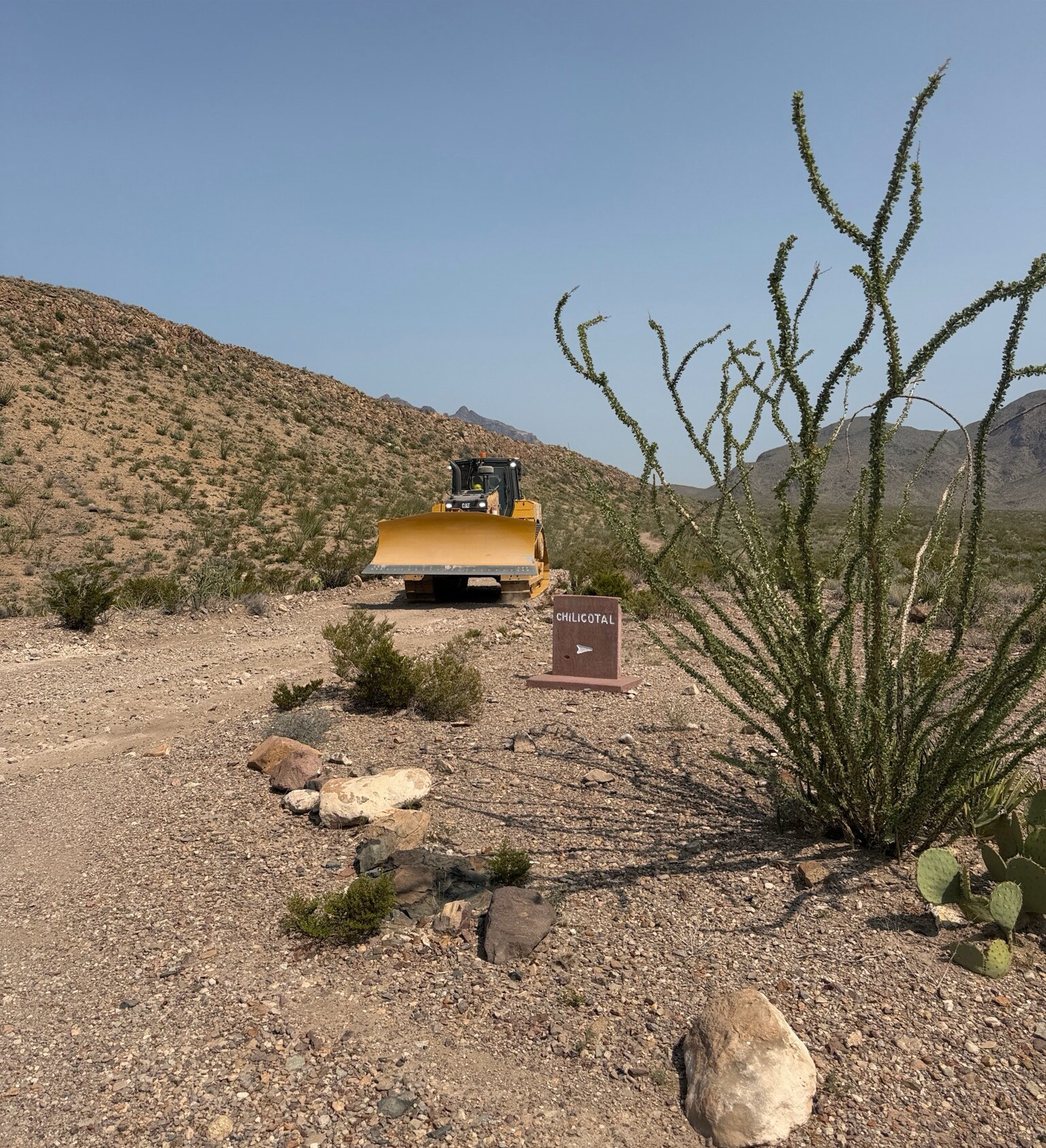 A yellow bulldozer parked on a gravel turnout in Big Bend National Park, directly beside a small brown National Park Service sign reading CHILICOTAL with a directional arrow. An ocotillo stands in the right foreground; bare desert hills recede behind.